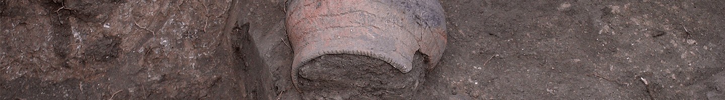 Arqueologia e Arqueometria